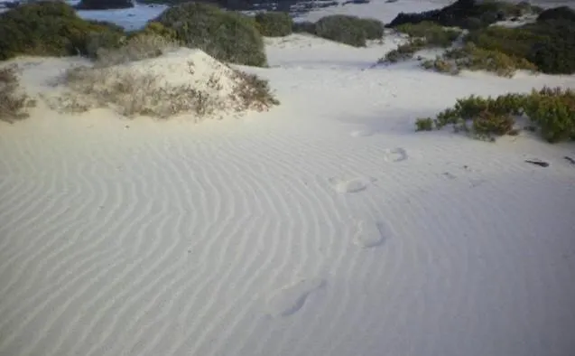 Marisa Apartamento *